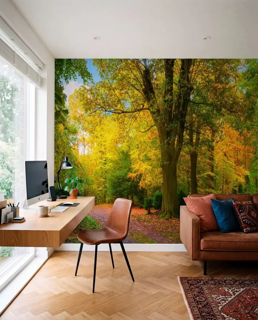 Fototapety Začiatok jesene u08547