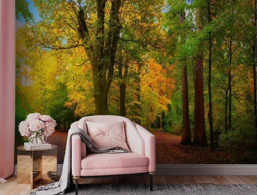 Fototapety Začiatok jesene u08547