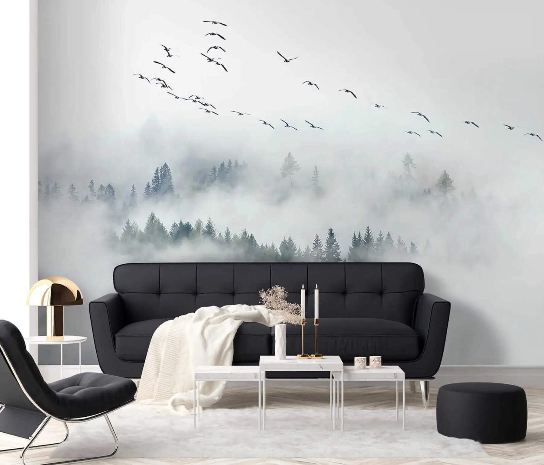 Fototapety Hmlový les a vtáky u32480