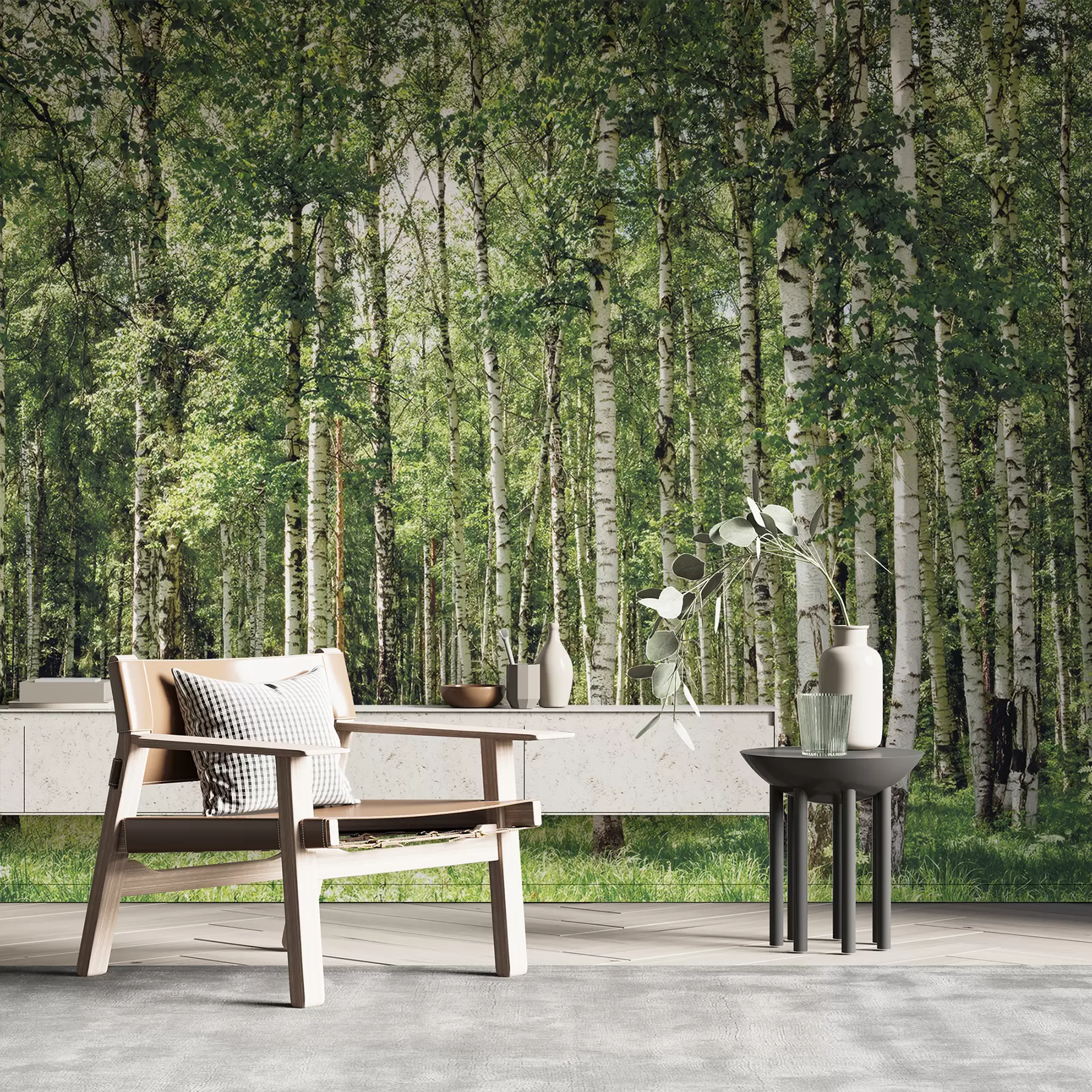 Fototapety Brezový les u52530