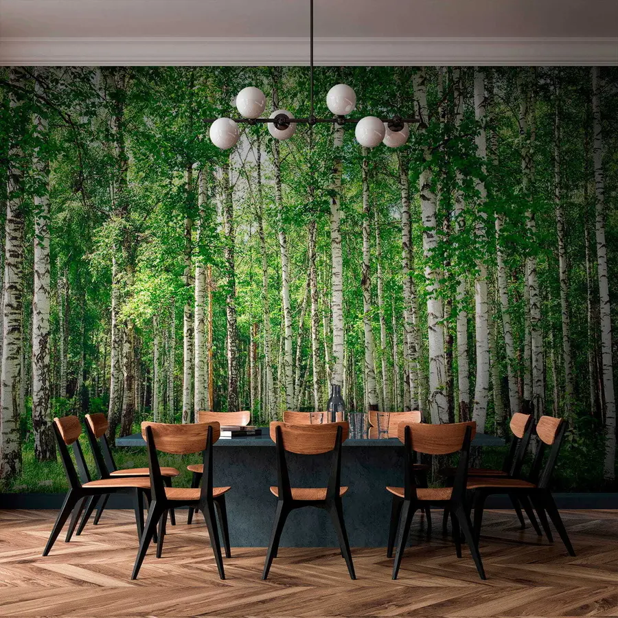 Fototapety Brezový les u52530