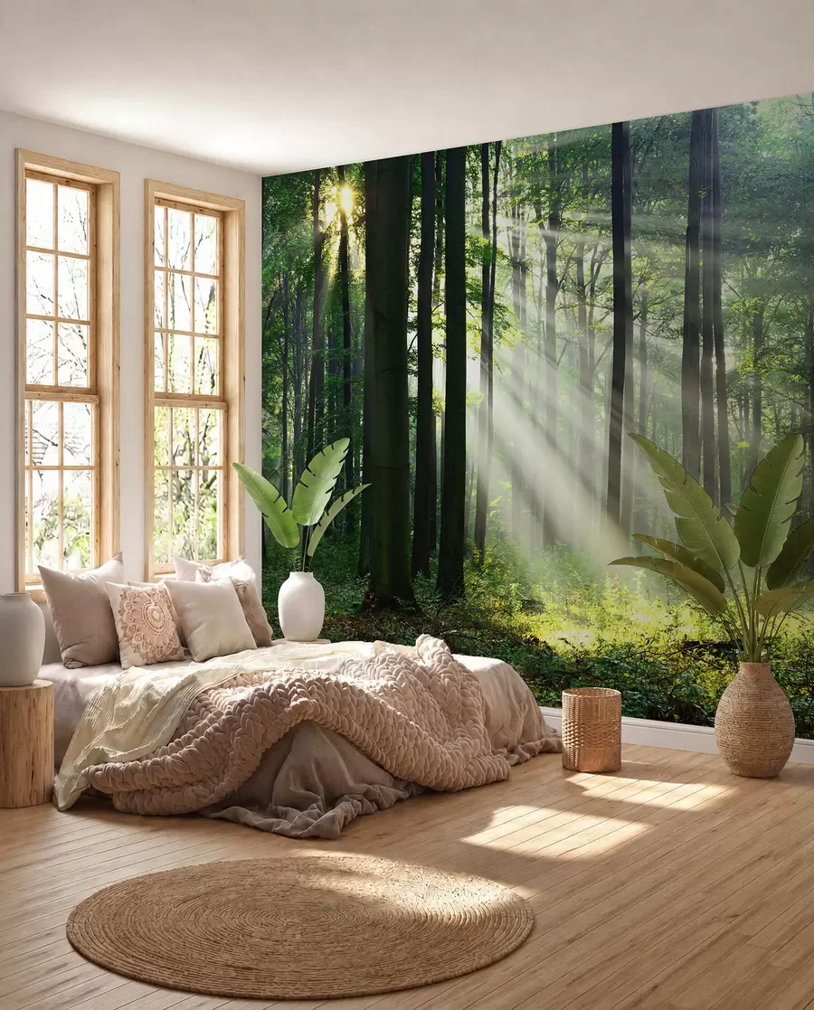 Fototapety Slnko medzi stromami u56787