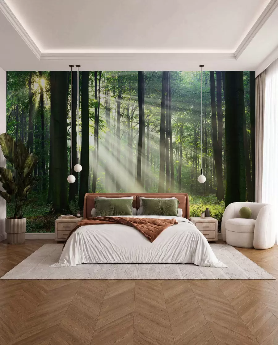 Fototapety Slnko medzi stromami u56787