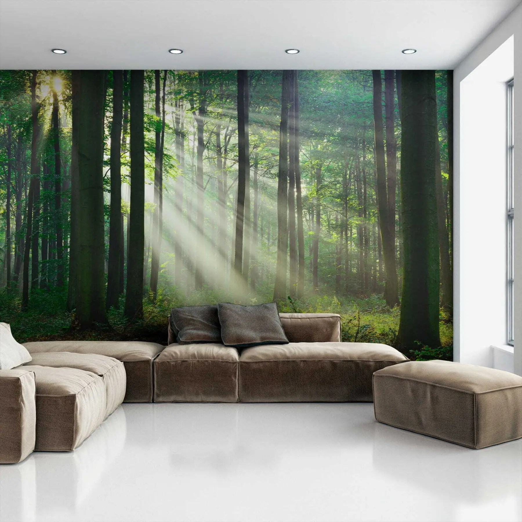 Fototapety Slnečné lúče v lese u56787