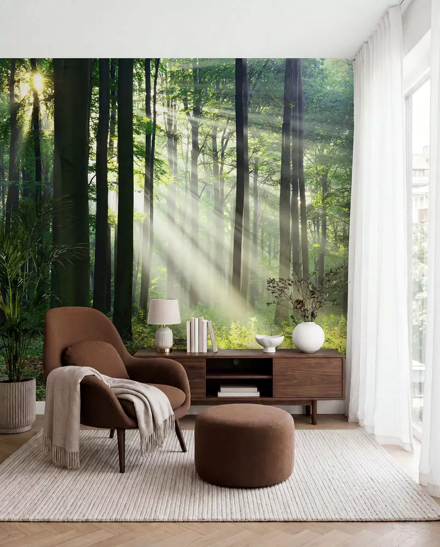 Fototapety Slnko medzi stromami u56787