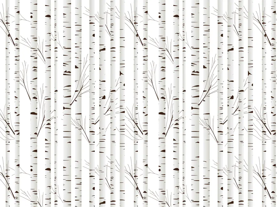 Fototapety Brezový les u58973