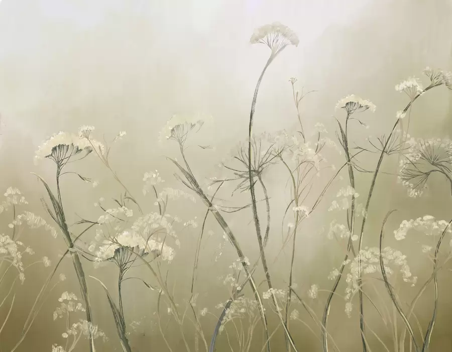 Fototapety Biele poľné kvety v hmlistom poli s jemným, rozmazaným sépiovým pozadím w00903v1