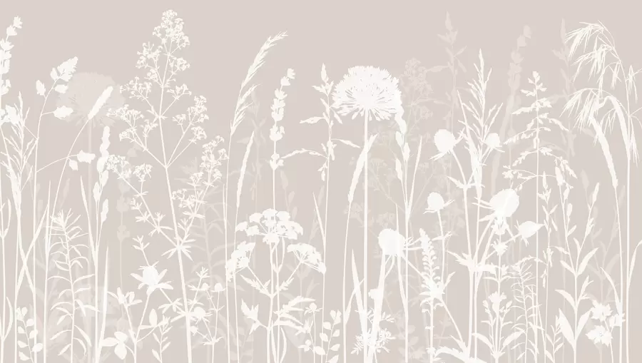 Fototapety Jemný minimalizmus poľných rastlín a kvetov w01270