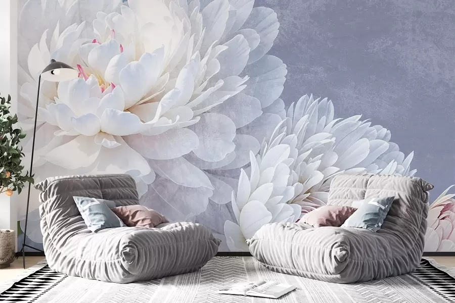 Fototapety Biele detailné kvety pivónie s jemnými okvetnými lístkami na svetlom pastelovom modrom pozadí s textúrou w08379