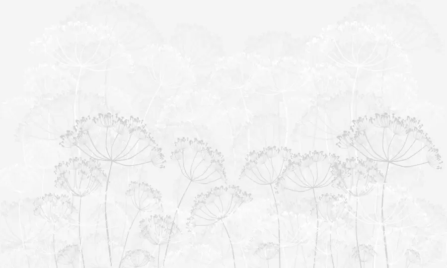 Fototapety Krehké rastliny minimalizmus sivá farba w02105v2