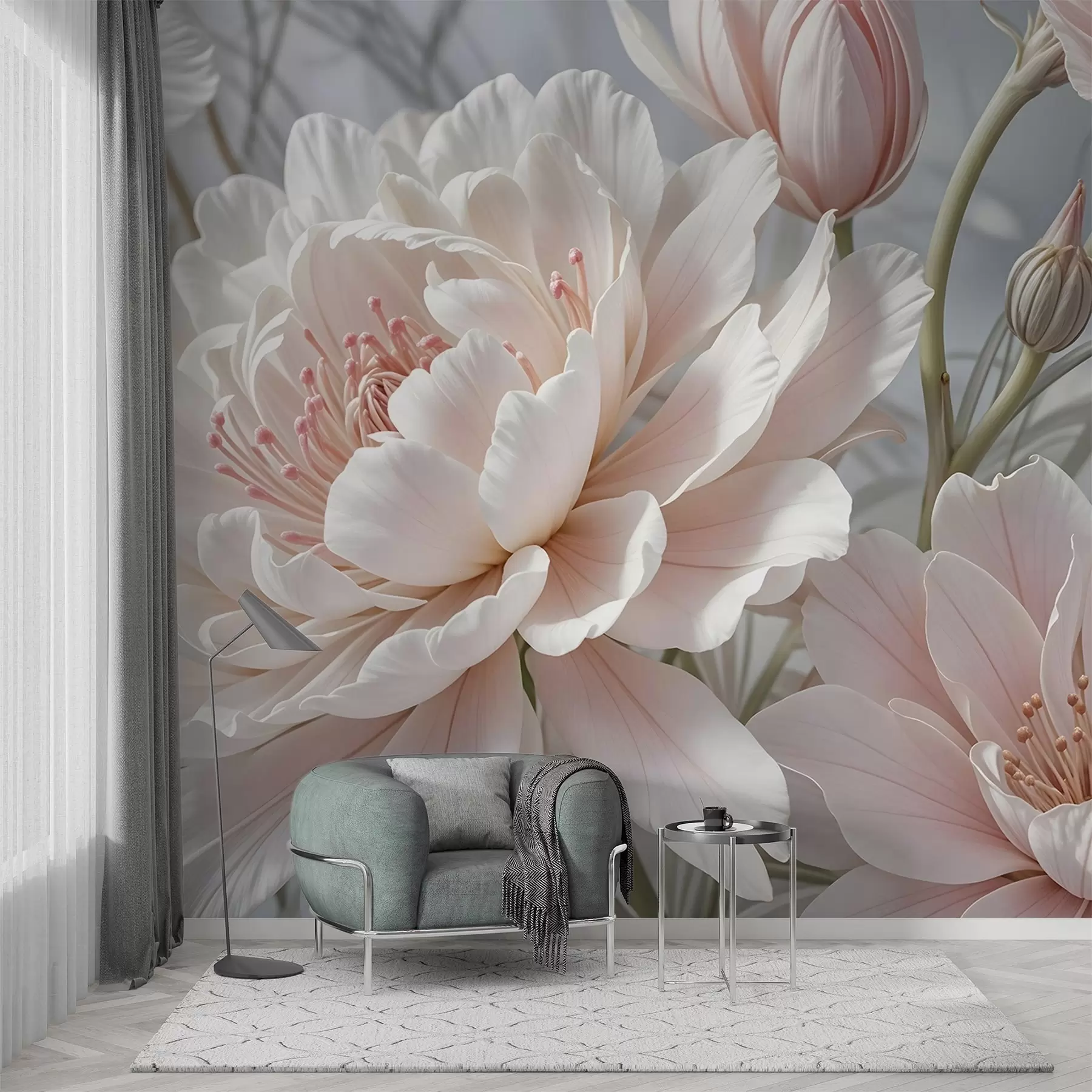 Fototapety Veľké, jemné biele a ružové kvety pivónie s mäkkými, nadýchanými okvetnými lístkami na rozmazanom sivom pozadí w08427