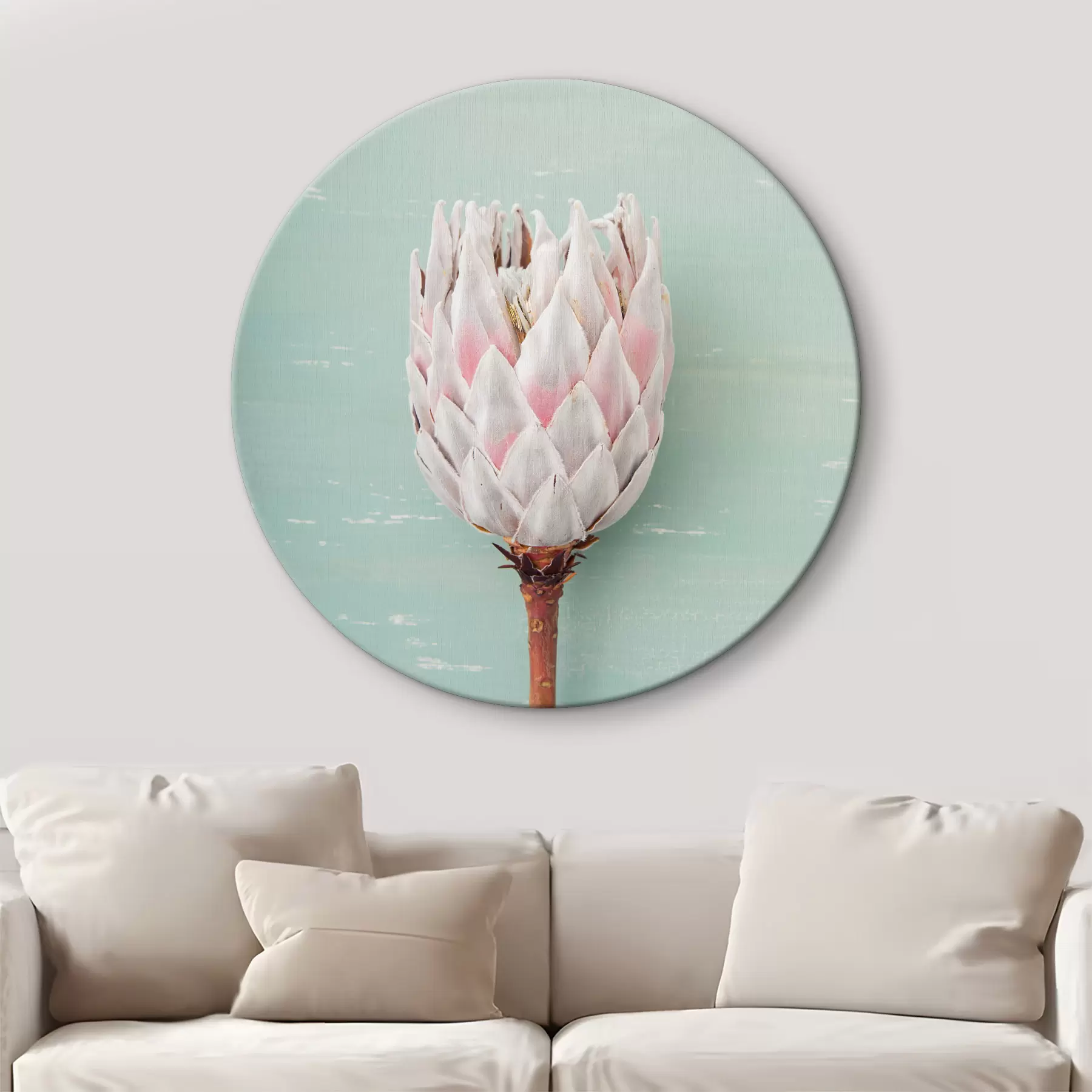 Obraz Biela protea r36695