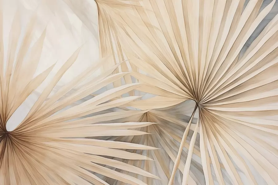 Fototapety Suché palmové listy w02431