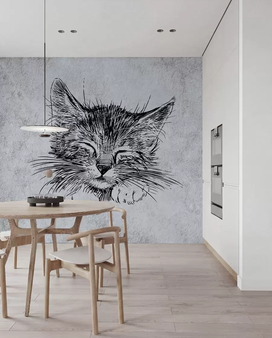 Fototapety Mačka, mačkovité z mäsožravcov u43536