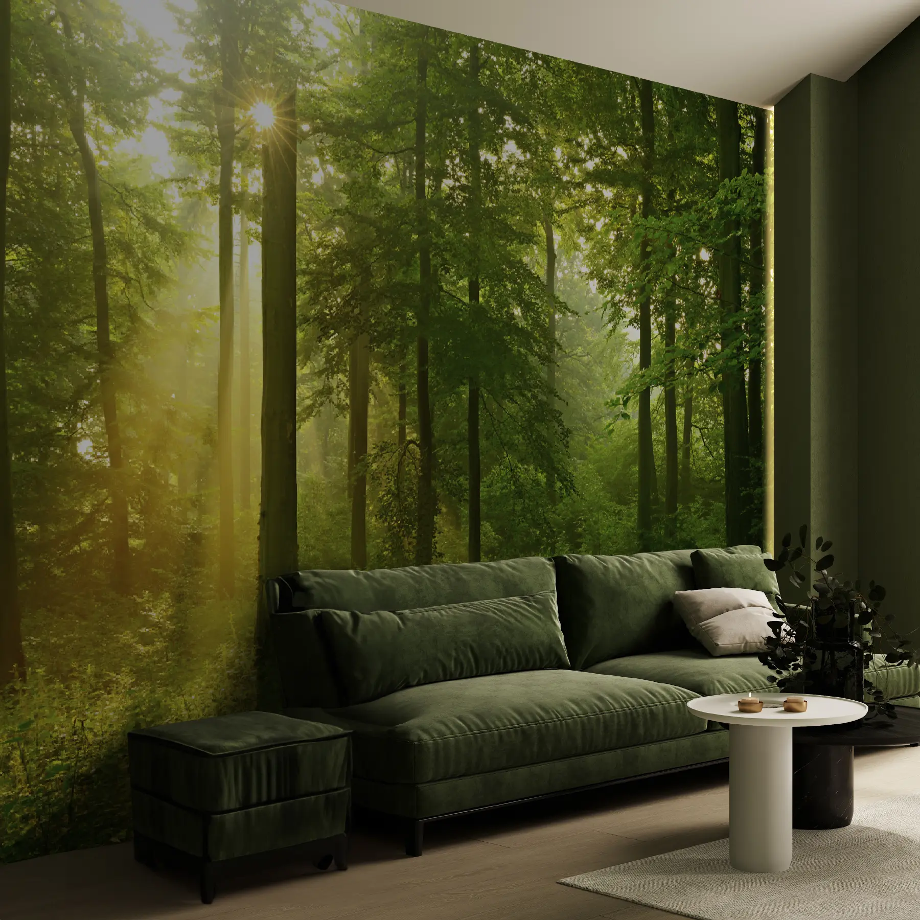 Fototapety Ticho v slnečnom lese u57295