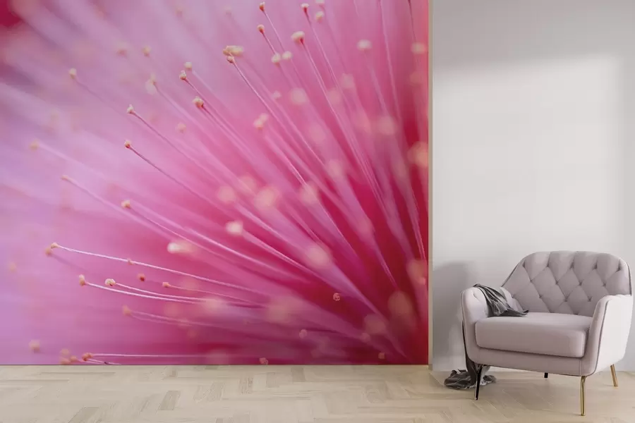 Fototapety Tyčinky ružového kvetu v makro, jemná abstrakcia w04154