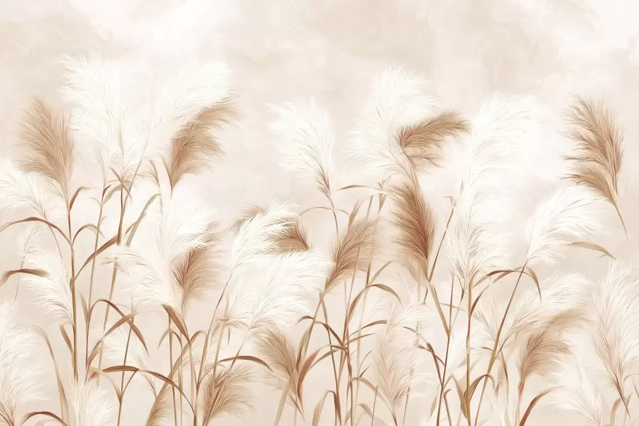 Fototapety Elegantné kvety pampovej trávy v jemných béžových a mliečnych tónoch w09150v1