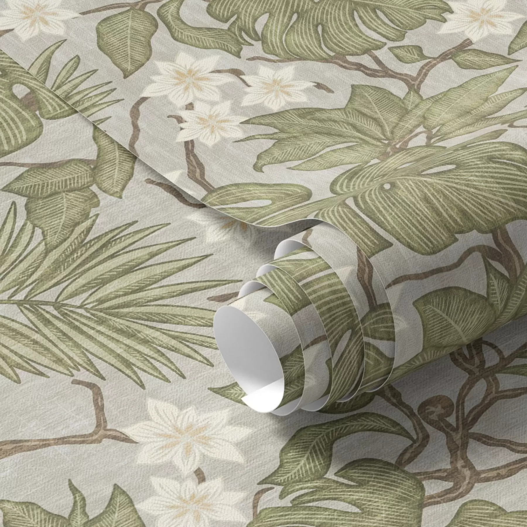 Fototapety Listy a kvety tropickej monstery na sivom pozadí a00249