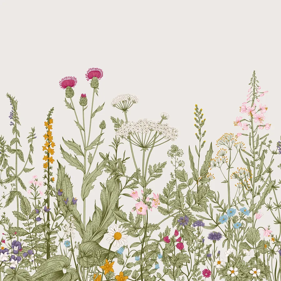 Fototapety Rastliny v štýle Boho u71743