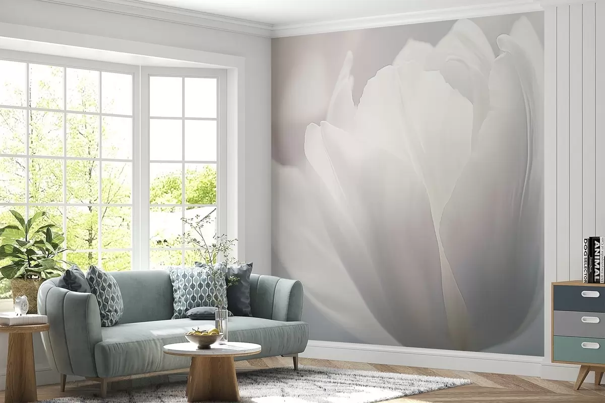 Fototapety Tulipán w04659