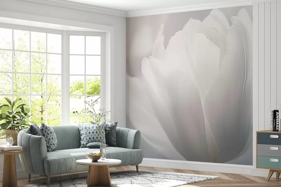 Fototapety Tulipán w04659