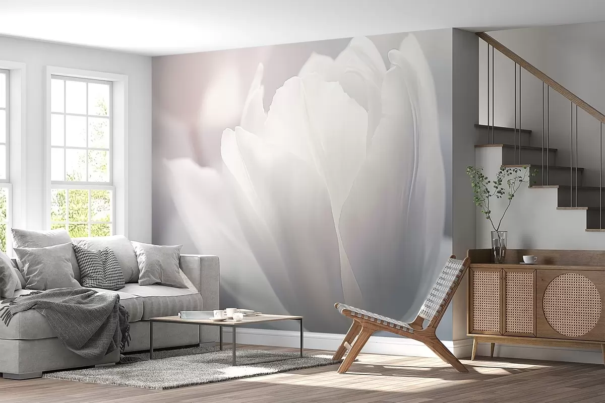 Fototapety Tulipán w04659