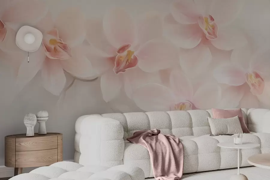 Fototapety Orchidey w04723