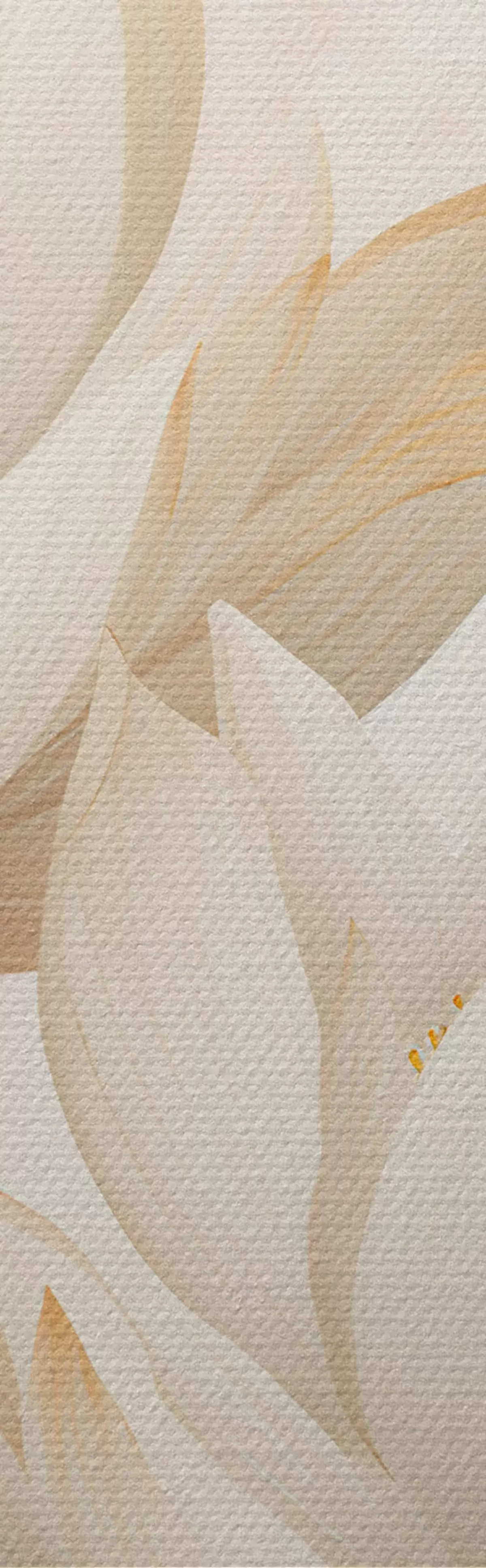 Obraz Krásne kvety lotosu m00861