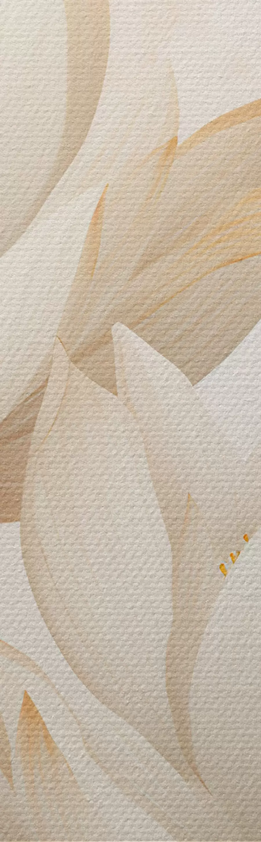 Obraz Krásne kvety lotosu m00861