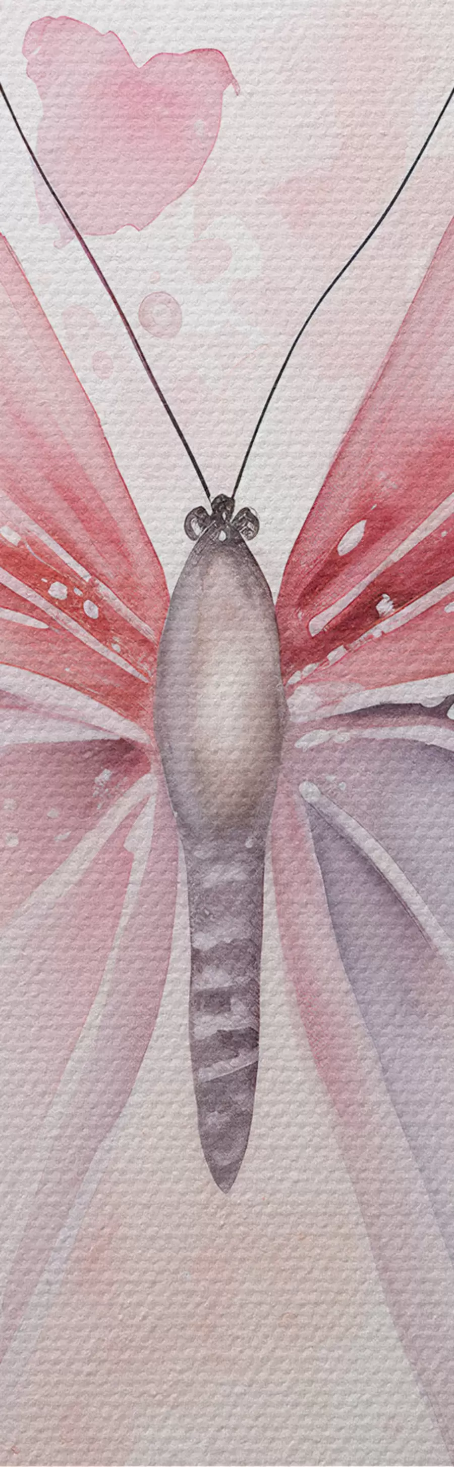 Obraz Rôzne ružové motýle m00864