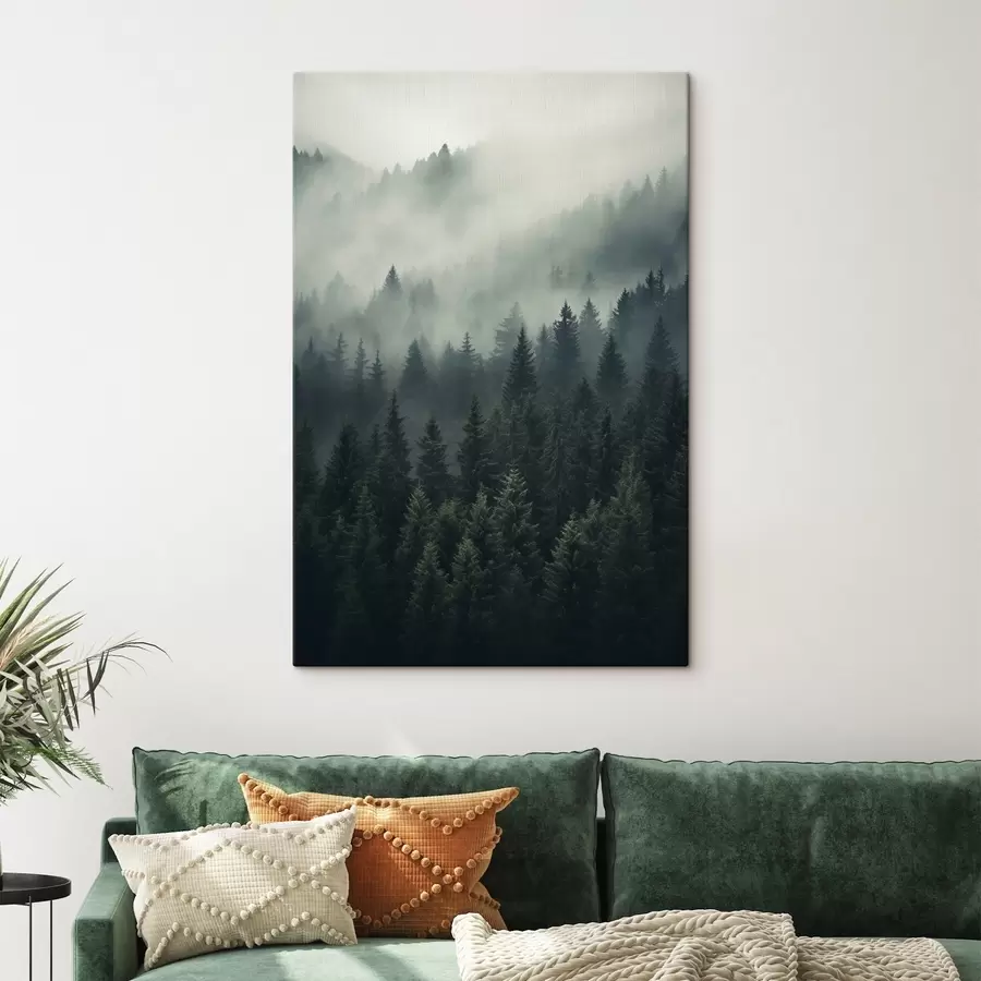 Obraz Hmla valiaca sa nad hustým vždyzeleným lesom s46512