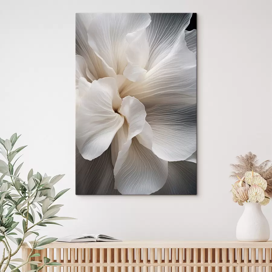 Obraz Detail jemných abstraktných bielych okvetných lístkov so zložitými líniami a rozmazaným tmavým pozadím s47018