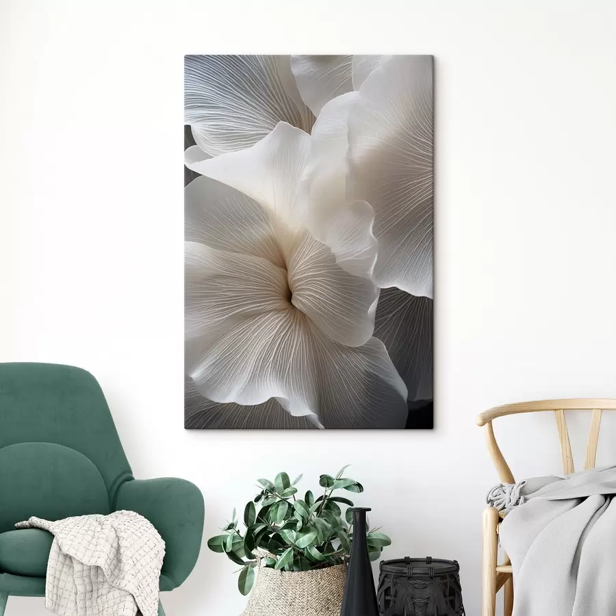 Obraz Detail jemných abstraktných bielych okvetných lístkov so zložitými líniami a rozmazaným tmavým pozadím s47019