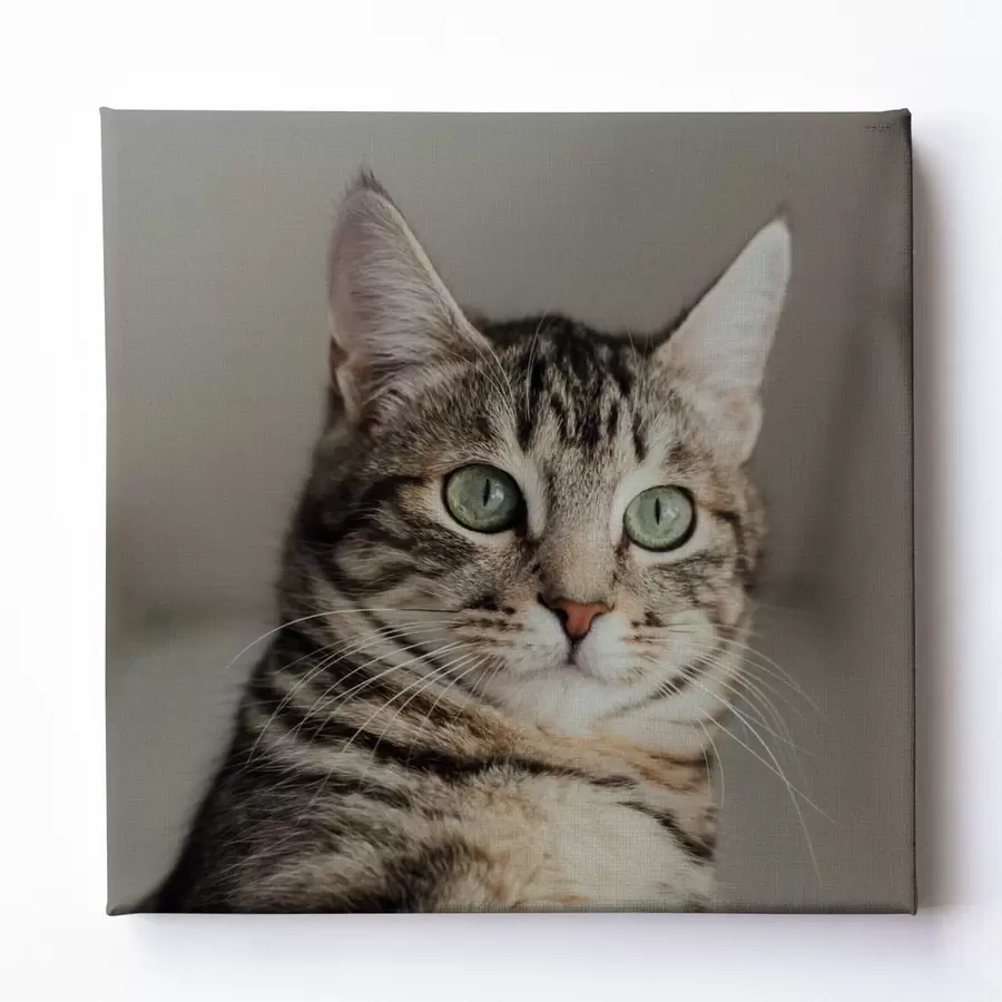 Obraz Romantický darček pre pár na základe fotografie s47204