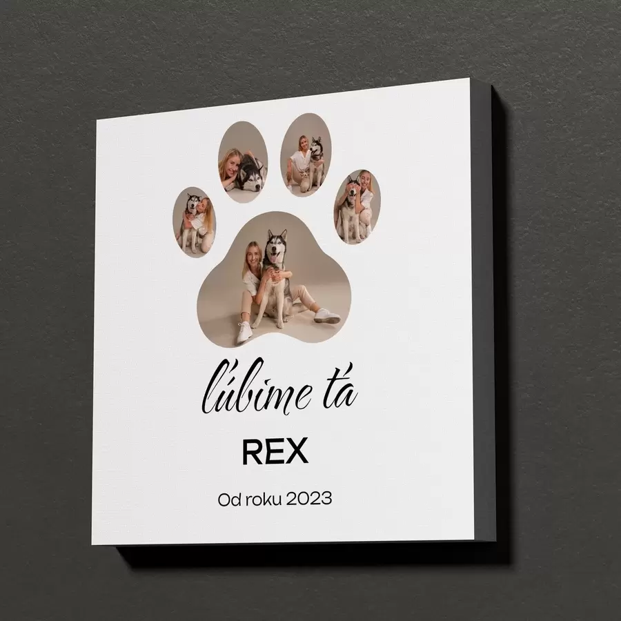 Obraz Fotokoláž v tvare labky na plátne pre vás a vašich miláčikov s47590