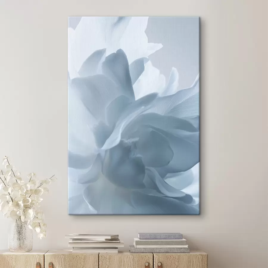Obraz jemné okvetné lístky v odtieňoch modrej farby s47691
