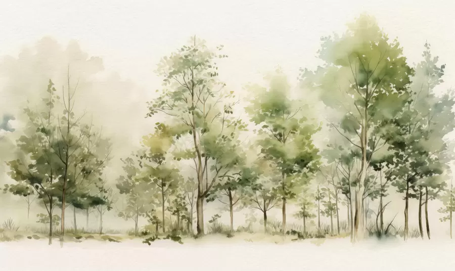 Fototapety Akvarel listnatý les w05180