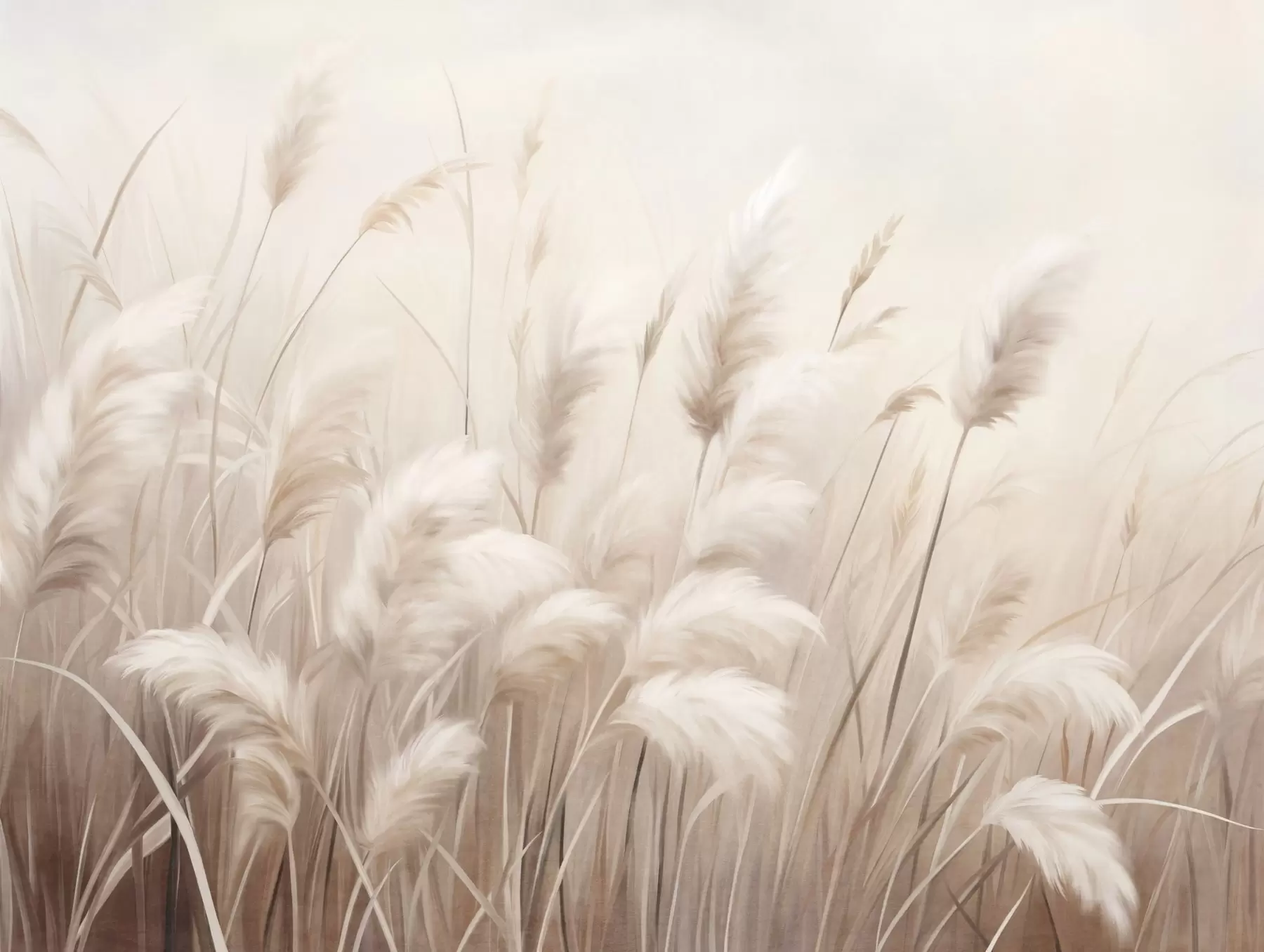 Fototapety Vysoká, textúrovaná tráva pampas v jemných, teplých, neutrálnych odtieňoch, s rozmazaným, svetlým pozadím w09637