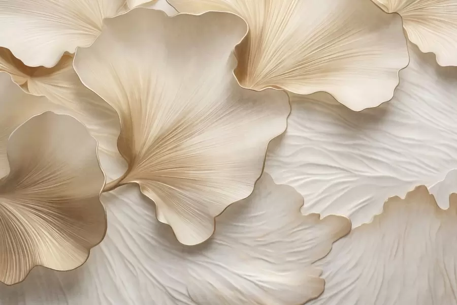 Fototapety Textúrované, béžové a biele okvetné lístky ginkga s jemným organickým potlačou w09741