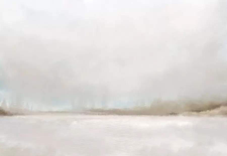 Fototapety Hmlistá krajina s jazerom a lesom w05319