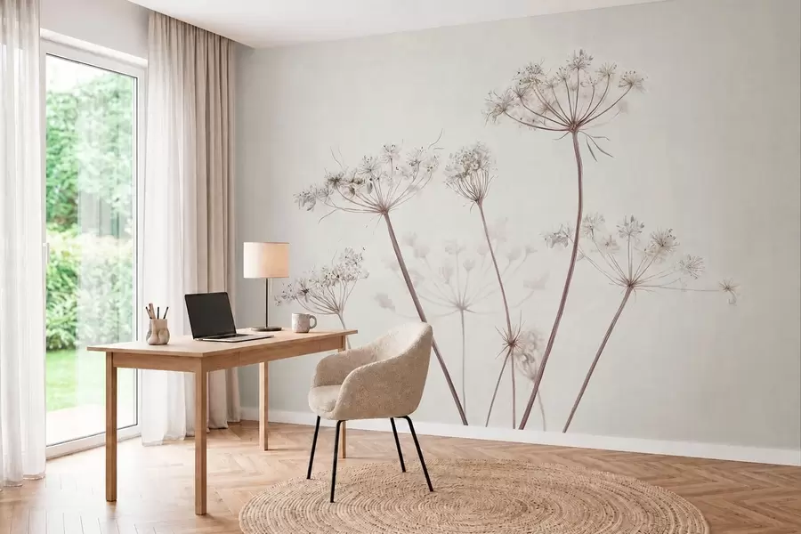 Fototapety Vysušené okoličnaté kvetenstvo na svetlom minimalistickom pozadí w05543