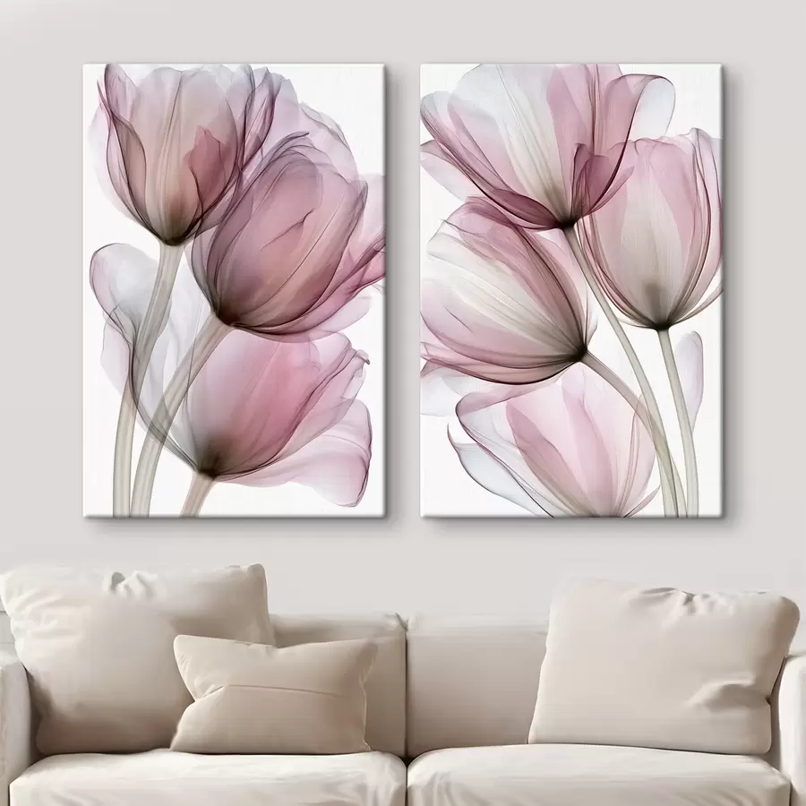 Fototapety elegantné polopriehľadné tulipány m30623
