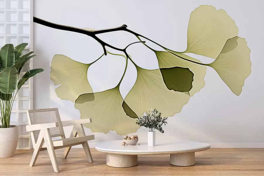 Fototapety Listy ginkga v tvare vejára w09968