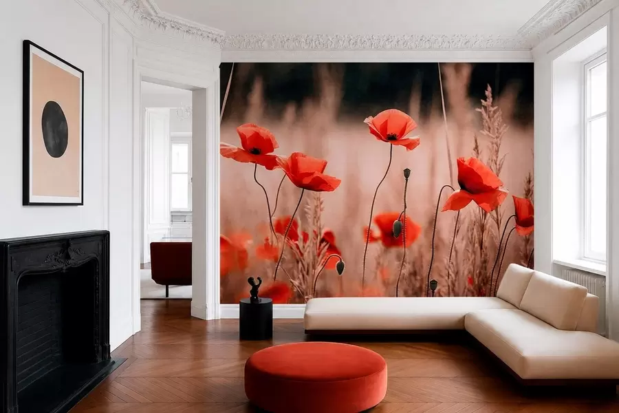 Fototapety Jasne červené maky medzi suchou trávou w05866