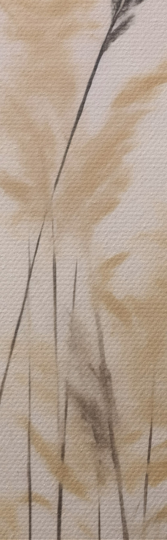 Obraz Abstraktné byliny, maľba v štýle imitácie m31062