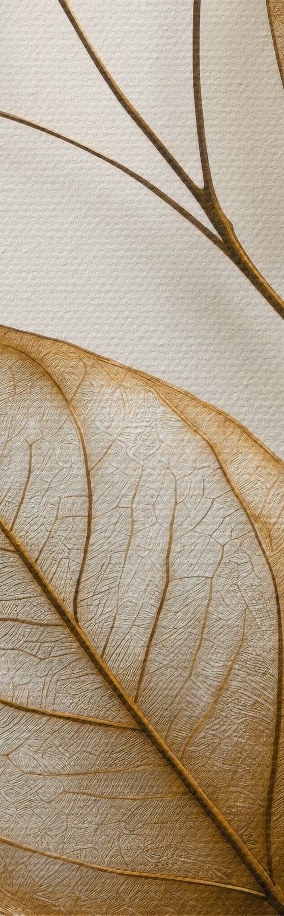Obraz Elegantná botanická vetvička s50866