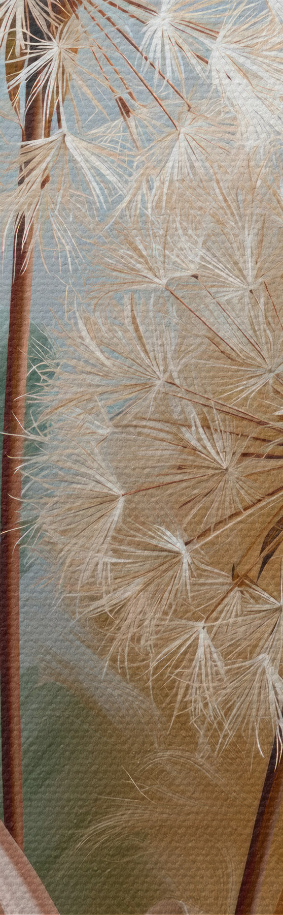 Obraz Krehké púpavy a poľné kvety s51182