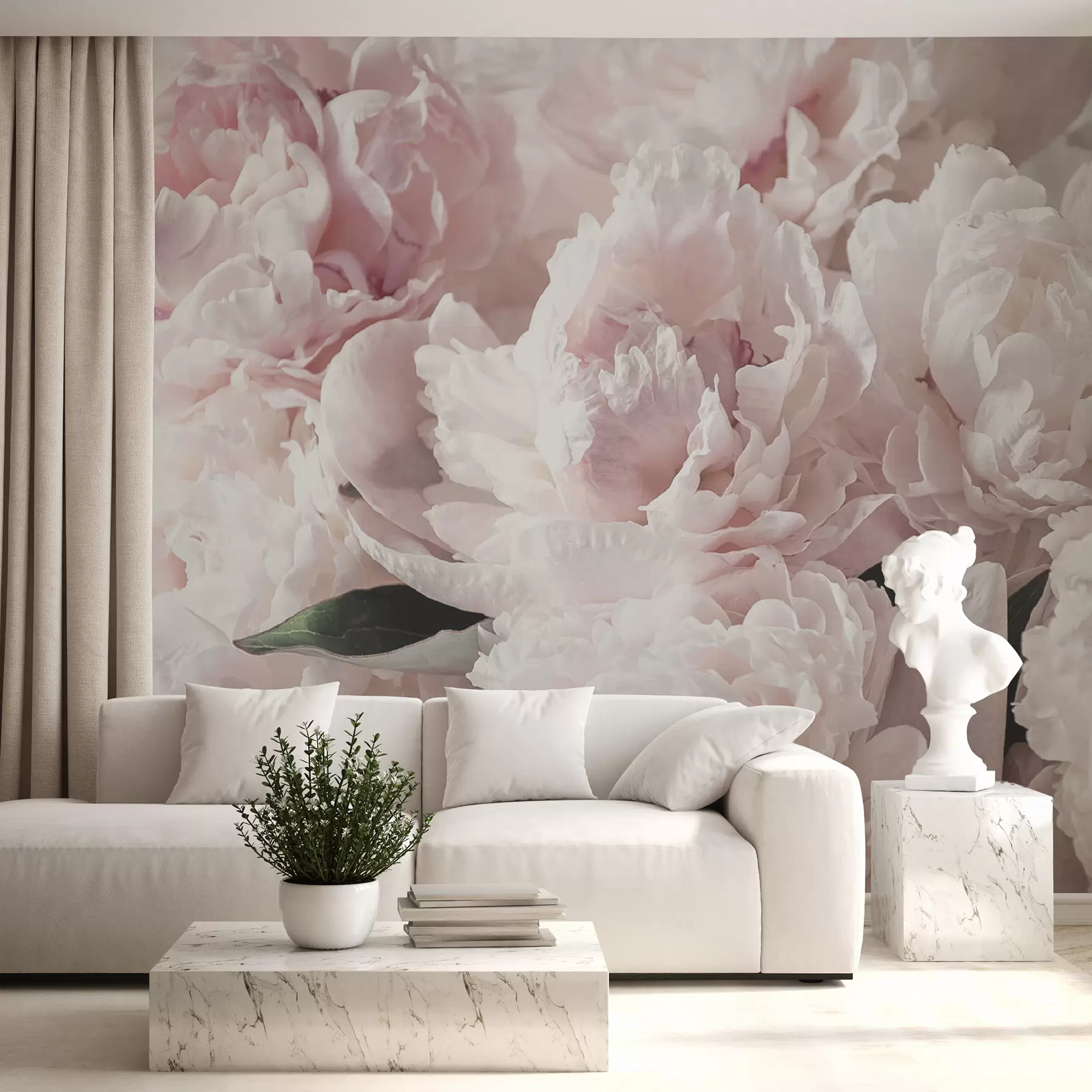 Fototapety Svetloružové pivonky u59600