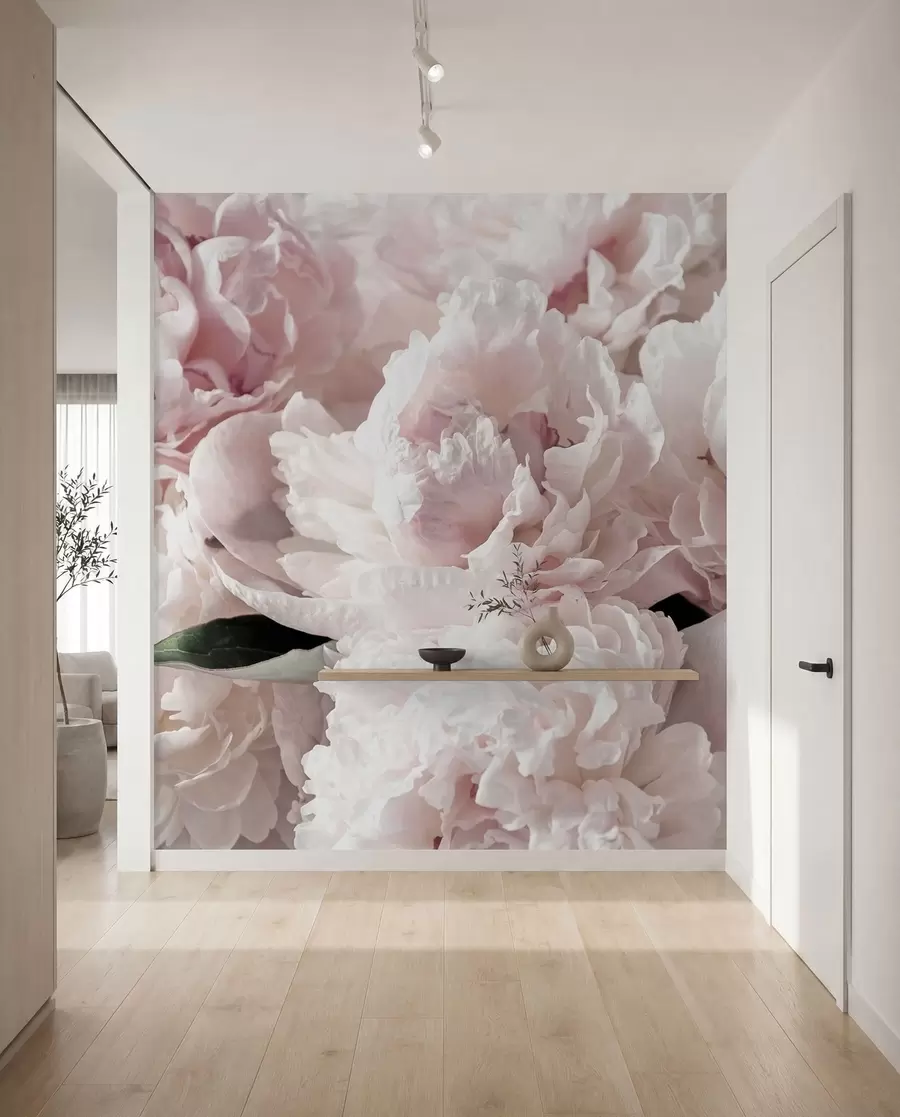 Fototapety Svetloružové pivonky u59600