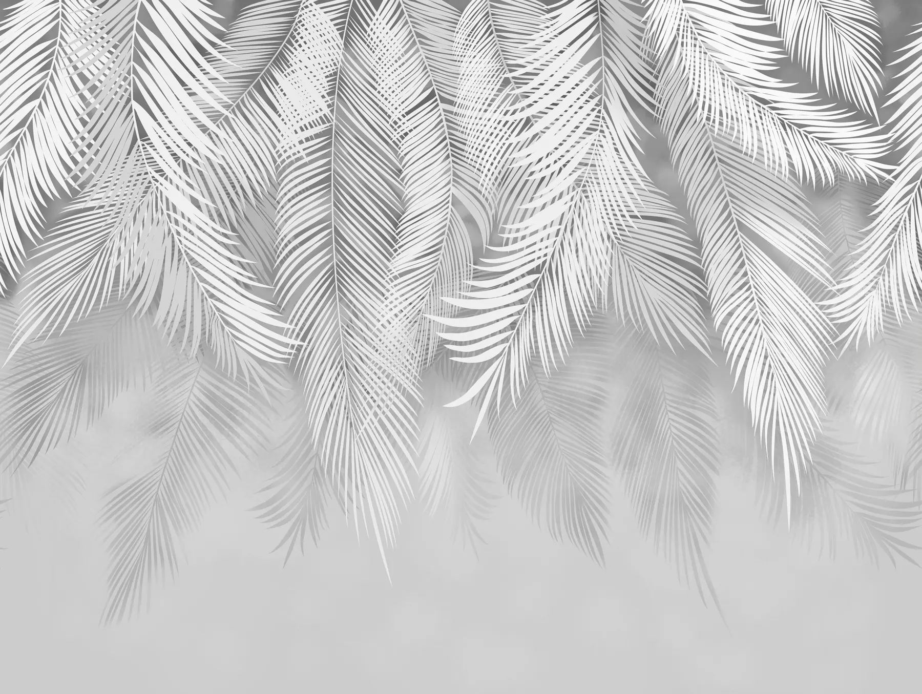 Fototapety Padajúce palmové listy u48556v7